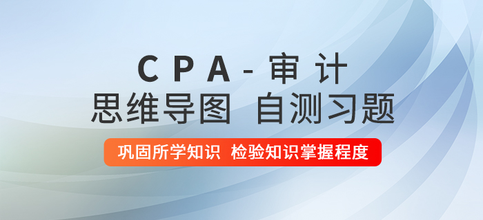 2020年注会《审计》第九章思维导图及自测习题