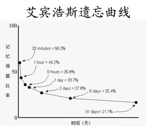 中级会计师