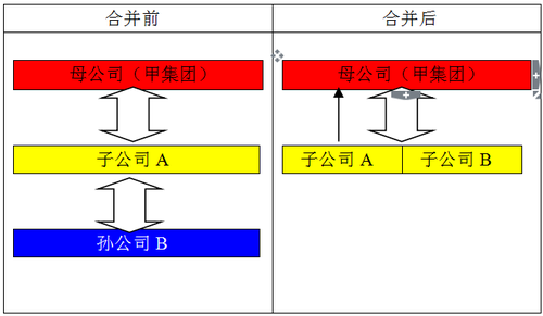 企业合并2