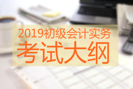 2019年初级会计实务考试大纲