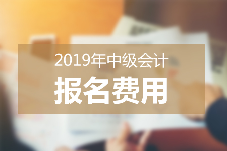 海南2019中级会计报名费用