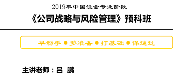 公司战略与风险管理