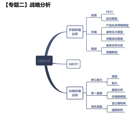 战略分析图