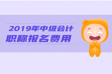 2019年中级会计职称报名费用