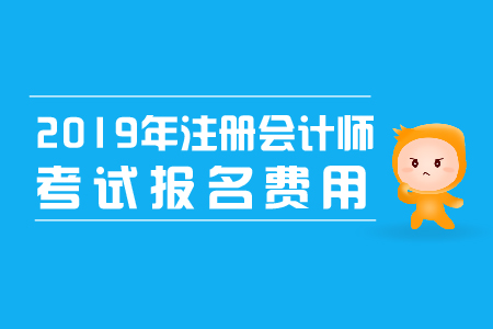 2019年cpa报考费用公布了吗，缴费流程是什么