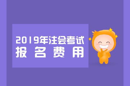 2019年新疆注会报名费用是多少？