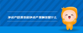 净资产回报率和净资产报酬率是什么