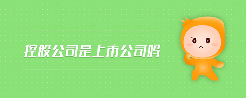 控股公司是上市公司吗