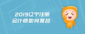 2019辽宁注册会计师如何报名