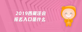 2019西藏注会报名入口是什么