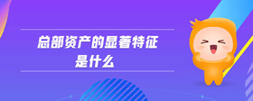 总部资产的显著特征是什么