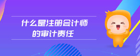 什么是注册会计师的审计责任