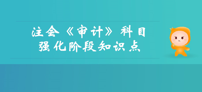 2019年注会《审计》强化阶段知识点汇总