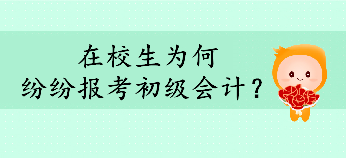 在校生为何纷纷报考初级会计？考下证有什么用？