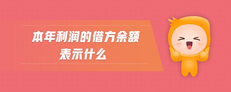 本年利润的借方余额表示什么