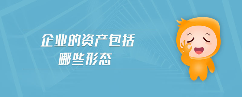 企业的资产包括哪些形态