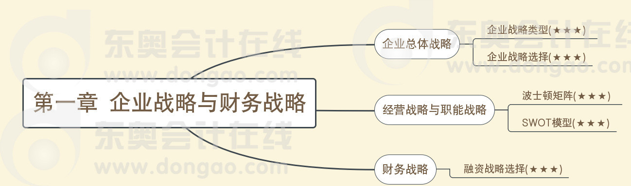 第一章企业战略与财务战略