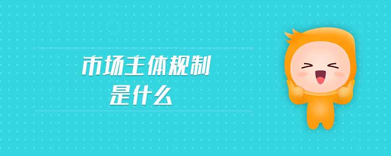 市场主体规制是什么