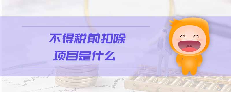 不得税前扣除项目是什么