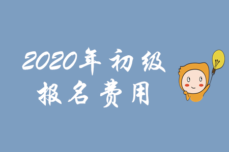 初级会计职称的报名费是多少？