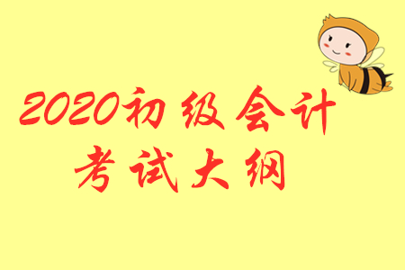 2020年初级会计职称《初级会计实务》考试大纲完整版下载