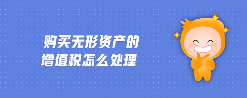 购买无形资产的增值税怎么处理