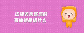 法律关系客体的有体物是指什么