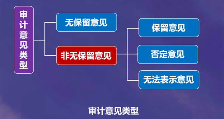 审计意见类型