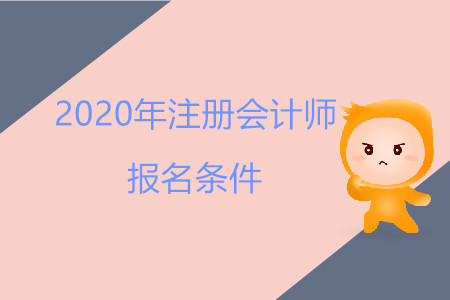 2020年河北注册会计师报名条件