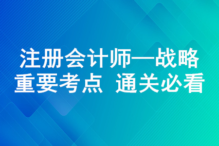 战略公司战略的层次_2020年注册会计师《战略》重要知识点