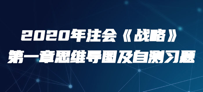 2020年注会《战略》第一章思维导图及自测习题