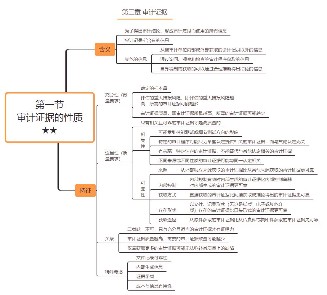 第一节审计证据的性质