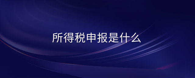 所得税申报是什么