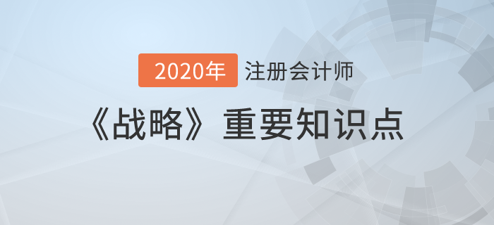 公司战略与组织结构（三）_2020年注册会计师《战略》重要知识点