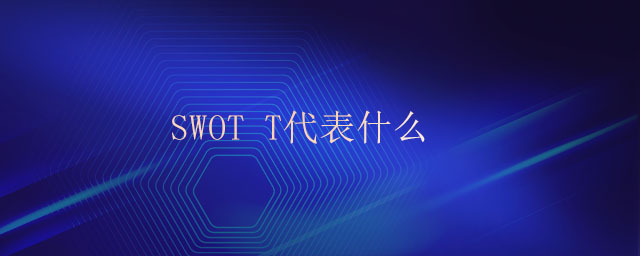 swot t代表什么