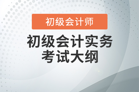 初级会计考试大纲：初级会计实务