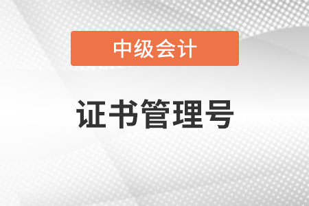 中级会计职称证书编号查询流程是什么？