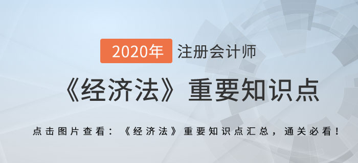 其他规定_2020年注册会计师《经济法》重要知识点