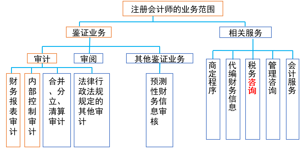 注册会计师的专业服务