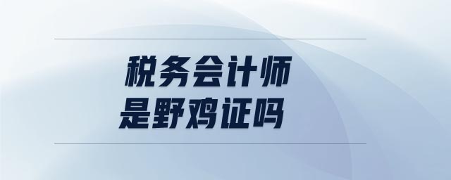 税务会计师是野鸡证吗