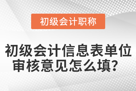 初级会计信息表单位审核意见怎么填？