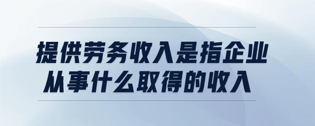 提供劳务收入是指企业从事什么取得的收入