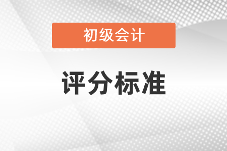 初级会计评分标准提前了解