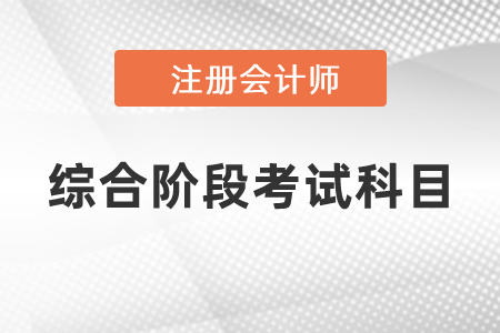 注册会计师综合阶段考试科目