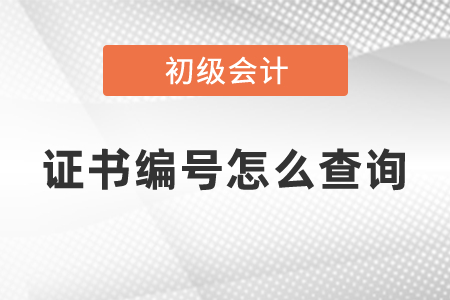 初级会计证书编号怎么查询