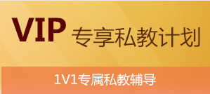 VIP专享私教计划