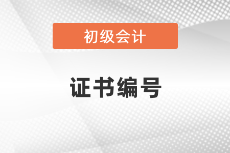 怎么查询初级会计证书编号？