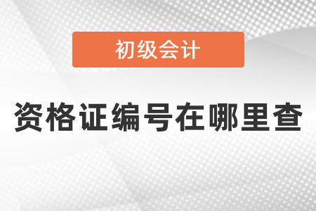 初级会计资格证编号在哪里查？