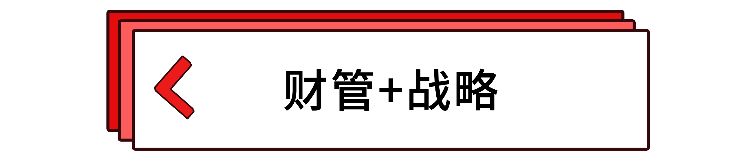 财管+战略