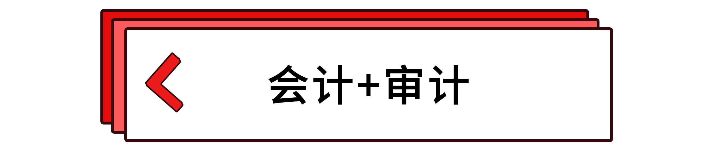 会计+审计